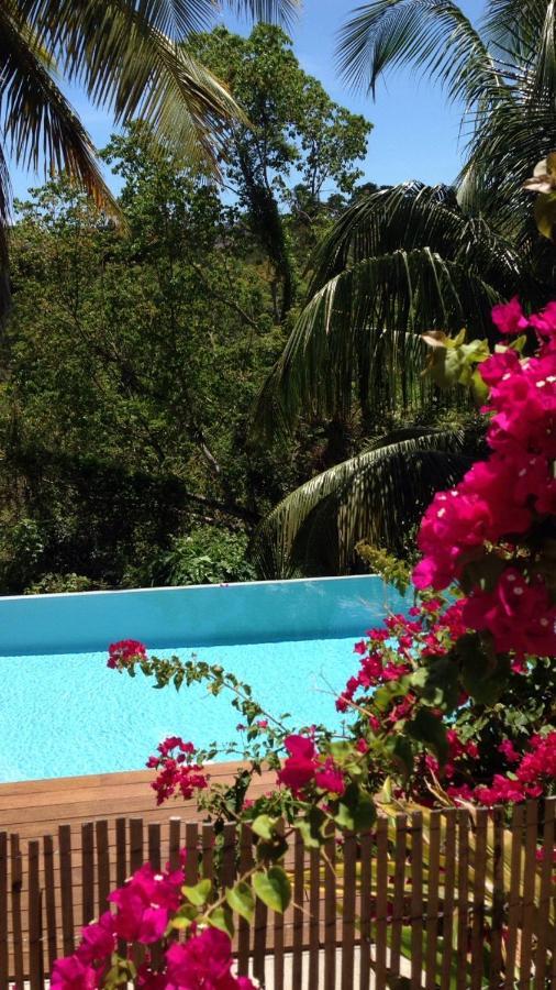 Confortable T1 Le Gosier, Wi-Fi, Piscine Dans Gite لو جوسيير المظهر الخارجي الصورة